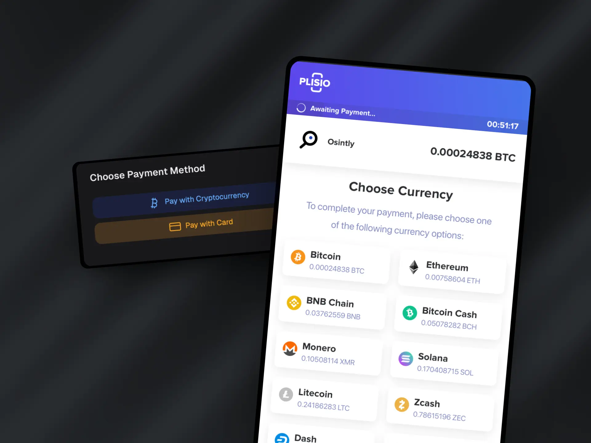 Crypto Payments Are Back on Osintly